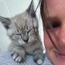 Jolien