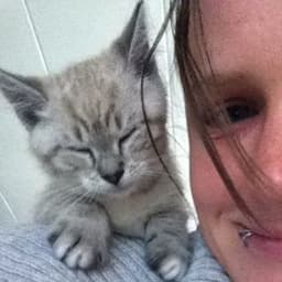 Jolien