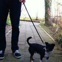 Wouter