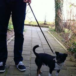Wouter