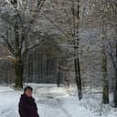 Corinne