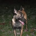 Hellen