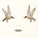 Mart