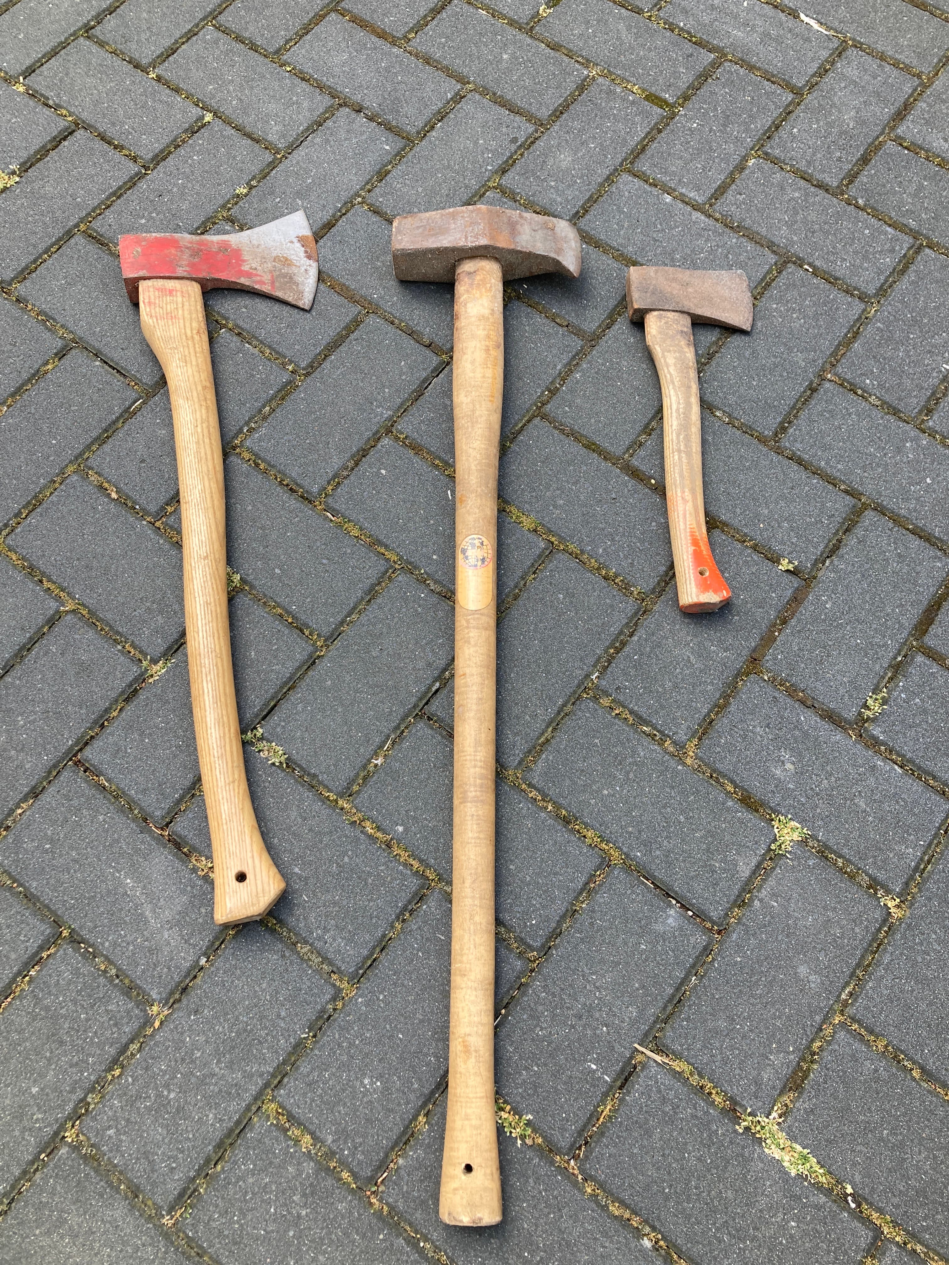 Bijlen
