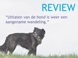 Maarten