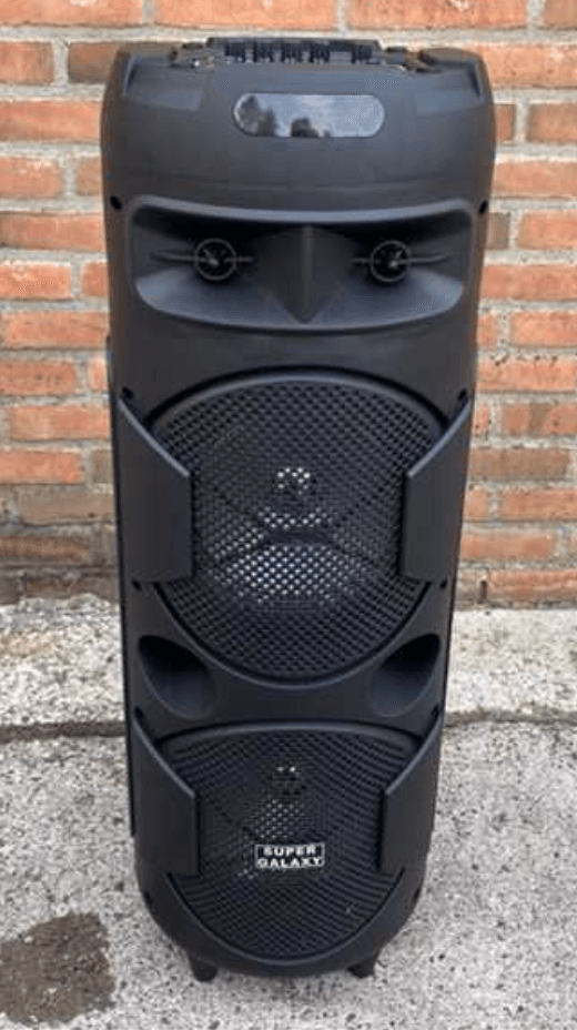 Party Speaker