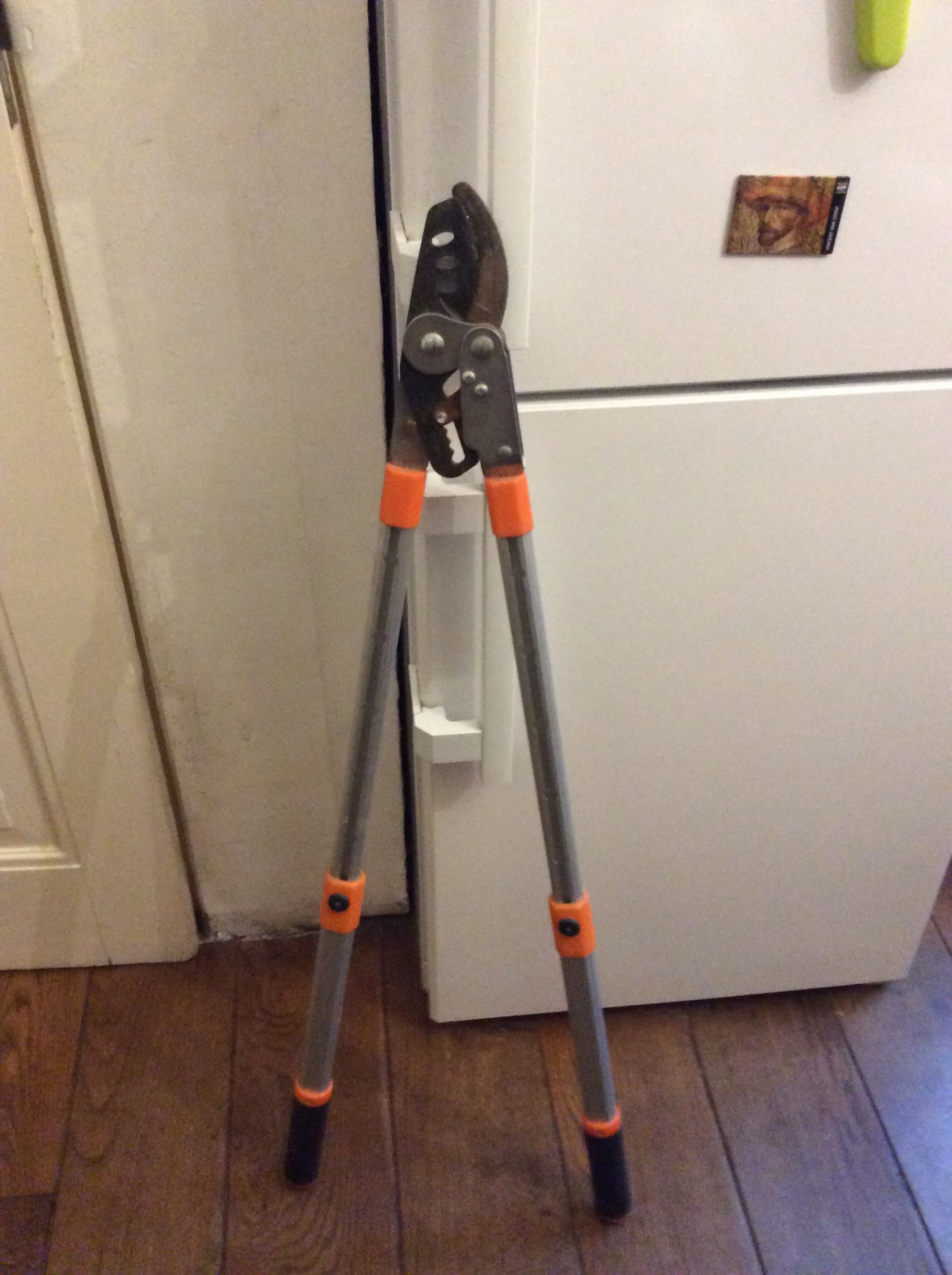 lange uitschuif snoeischaar