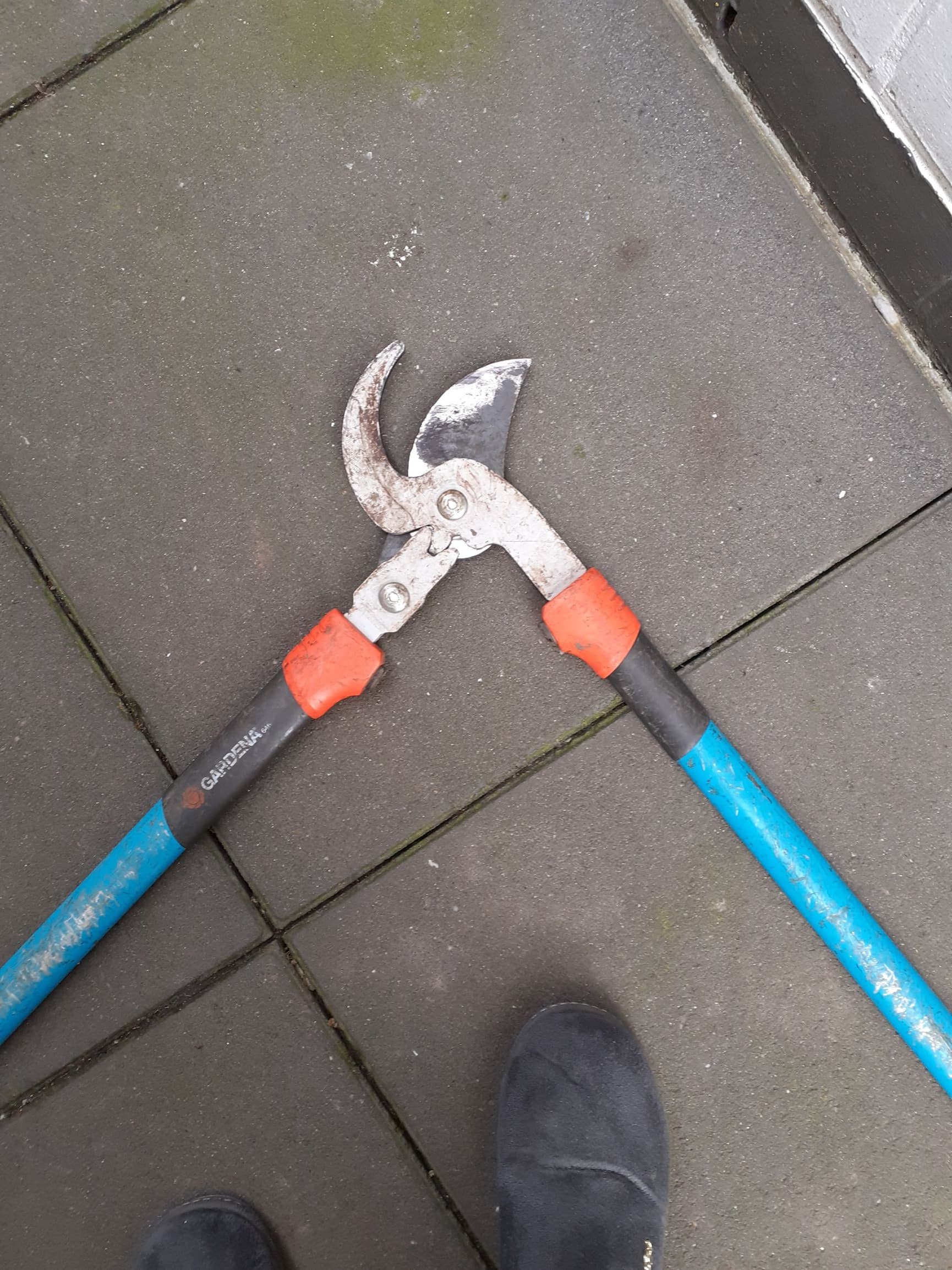 boomschaar