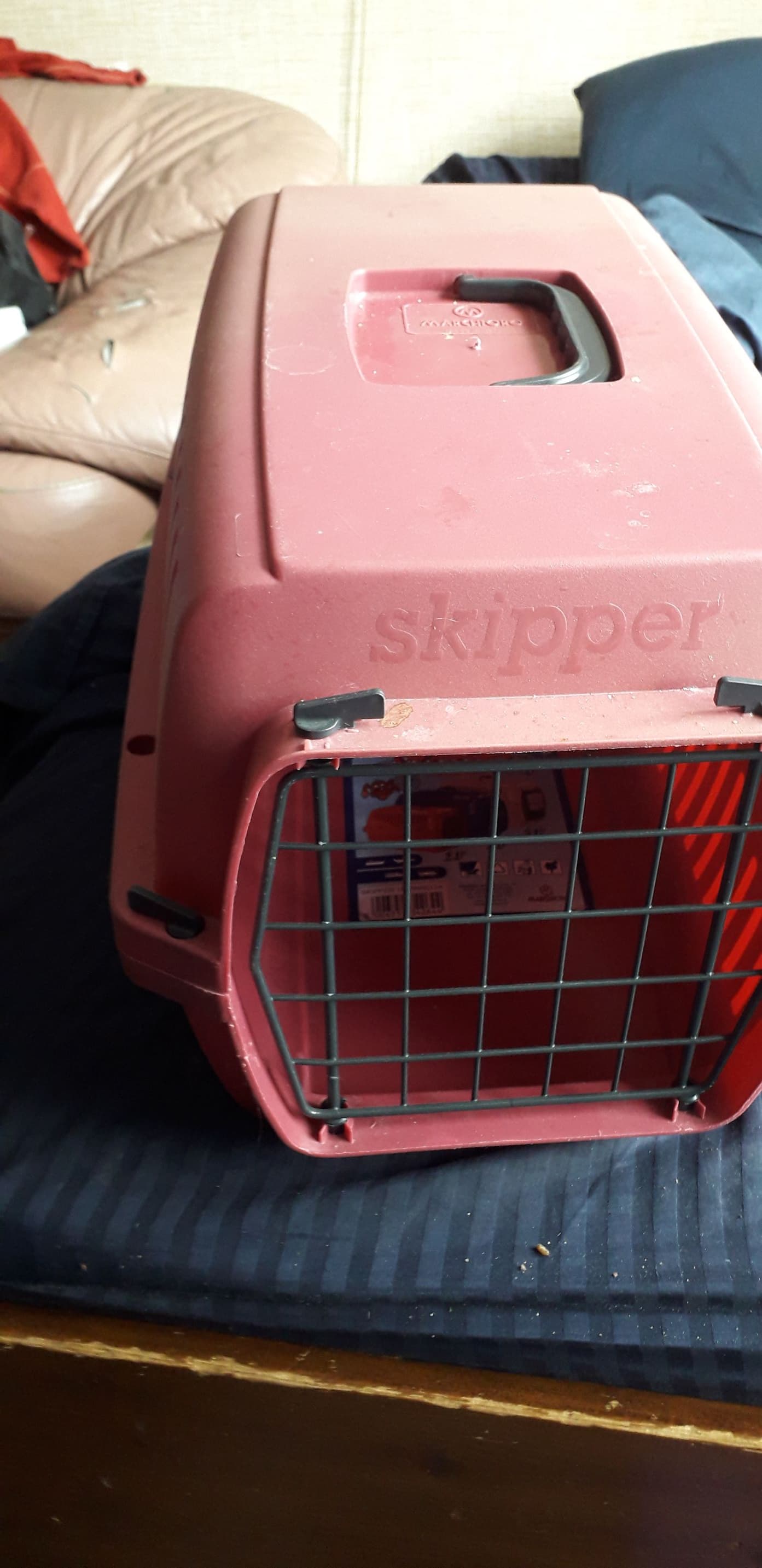 Kattenreismand