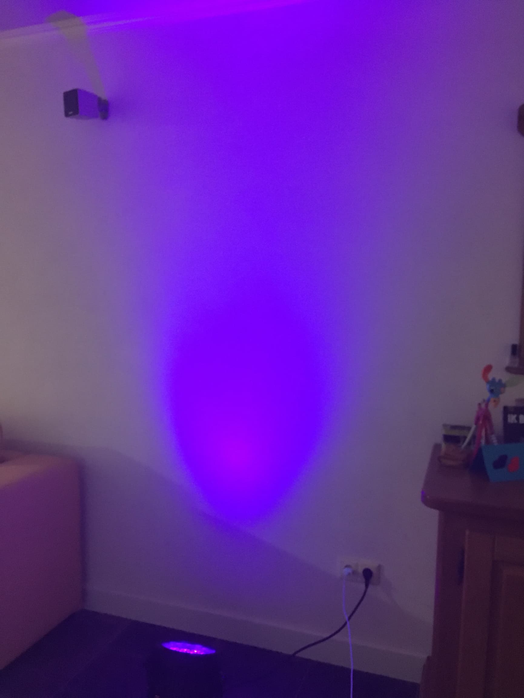 Blacklight