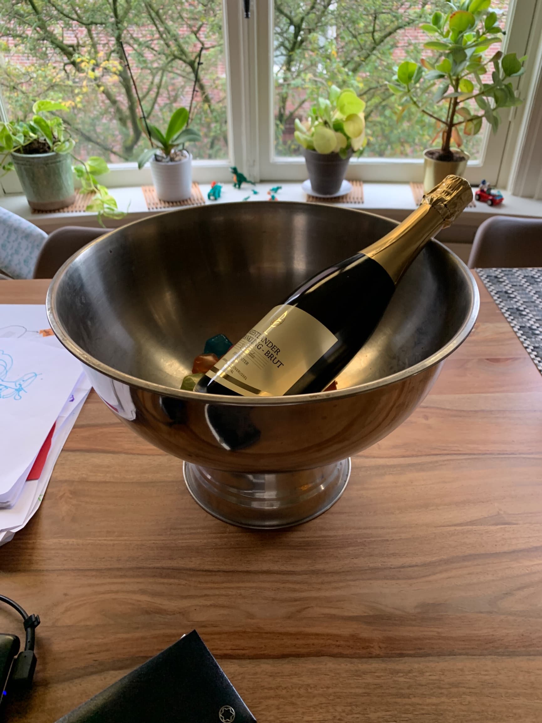Champagne schaal 