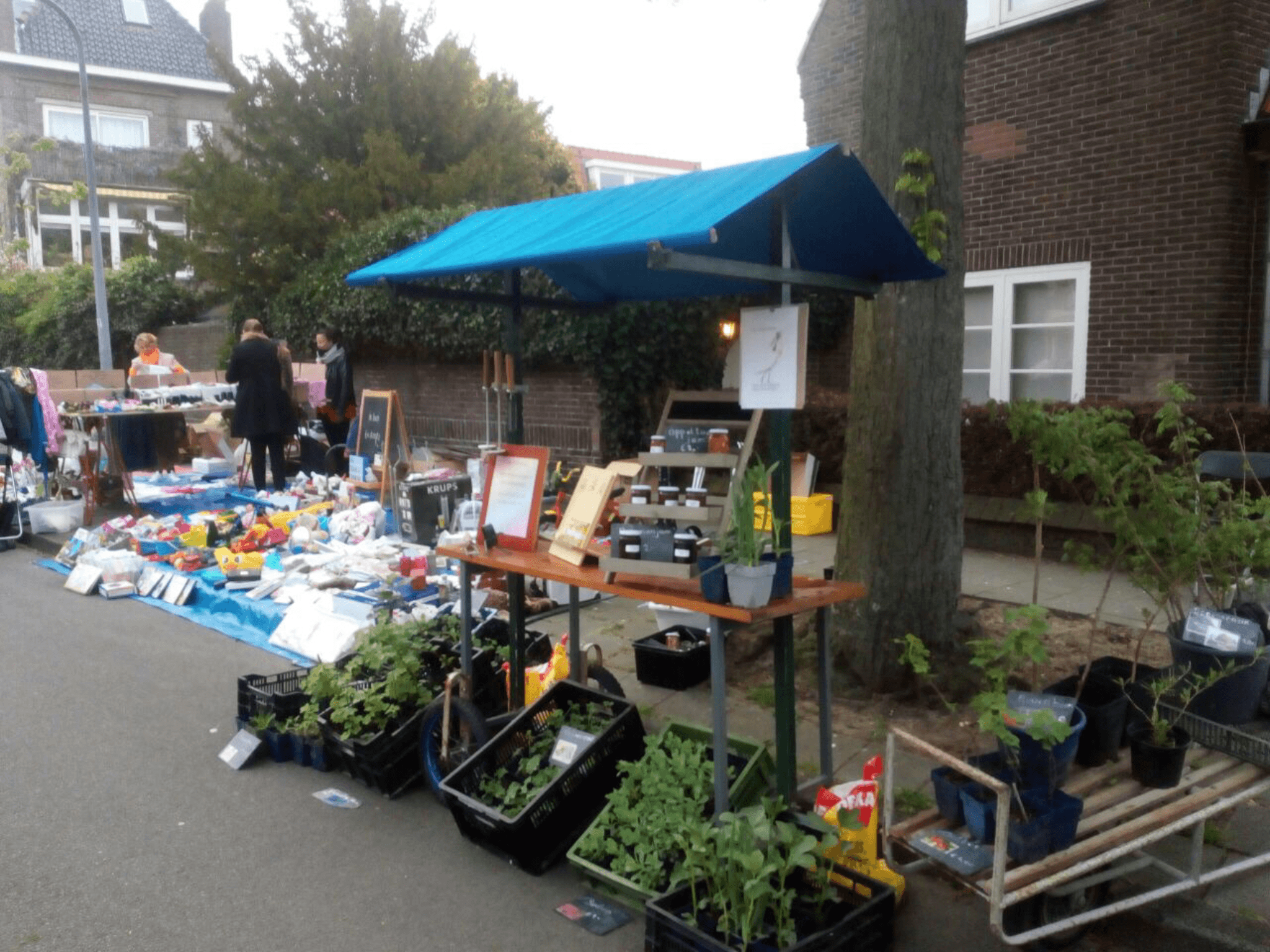 Marktkraampje 