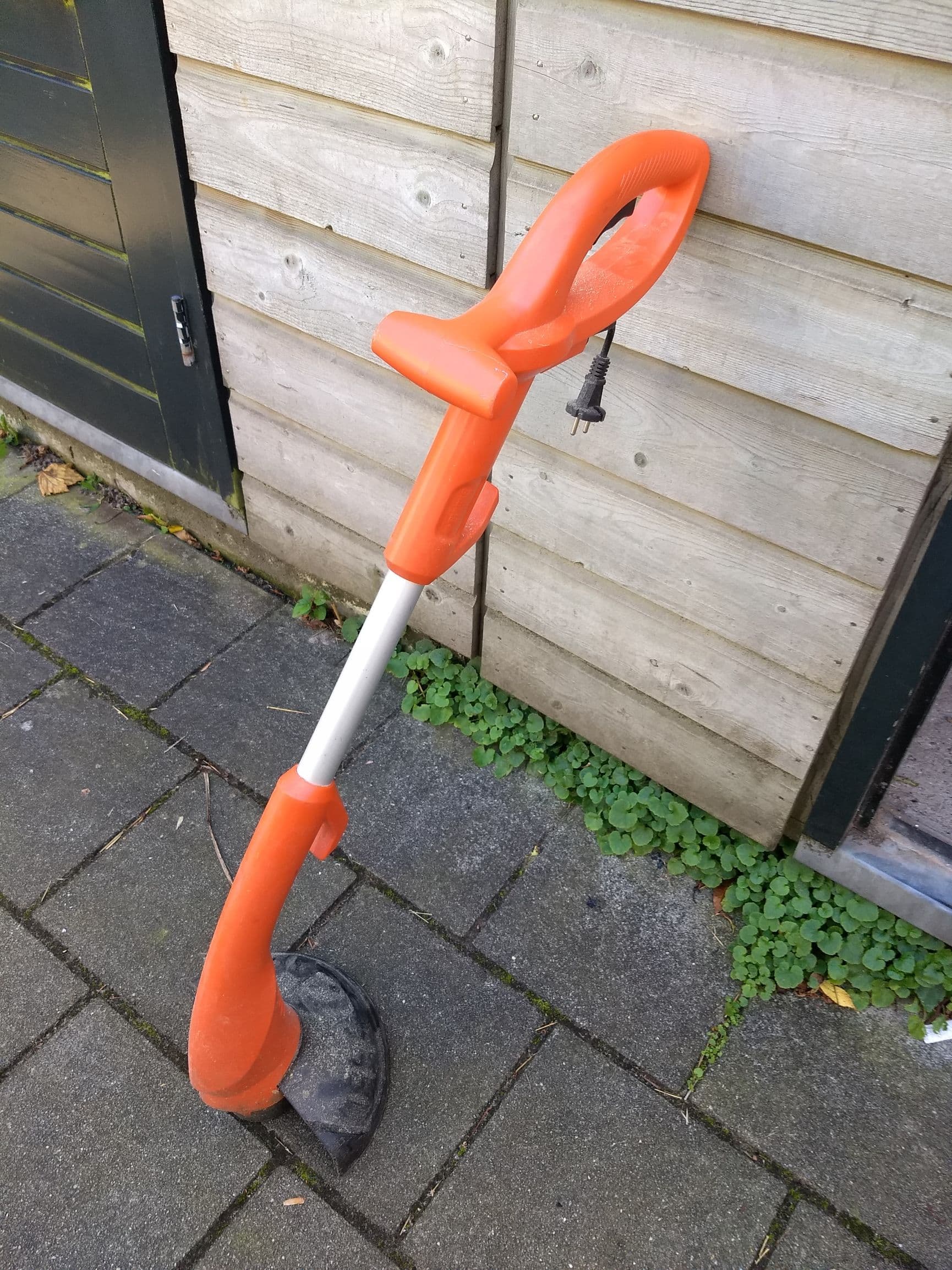 Bosmaaier