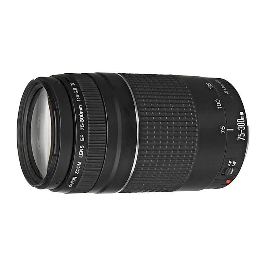 Canon EF 75-300mm f/4.0-5.6 III
