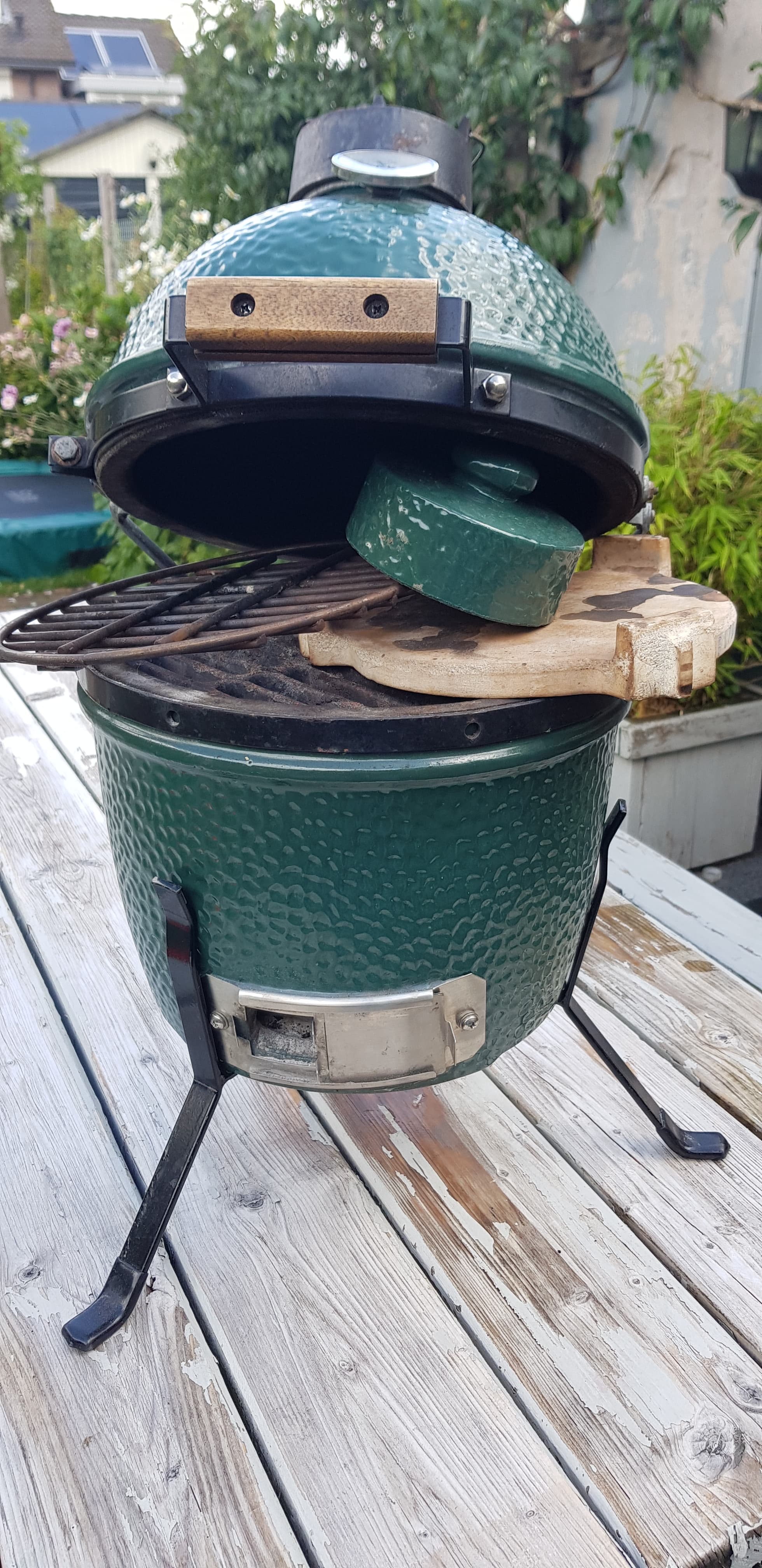 Green Egg Mini