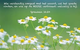 Emiel