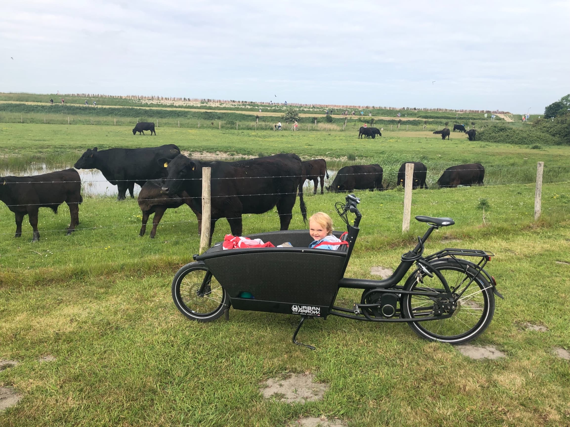 Elektrische bakfiets 
