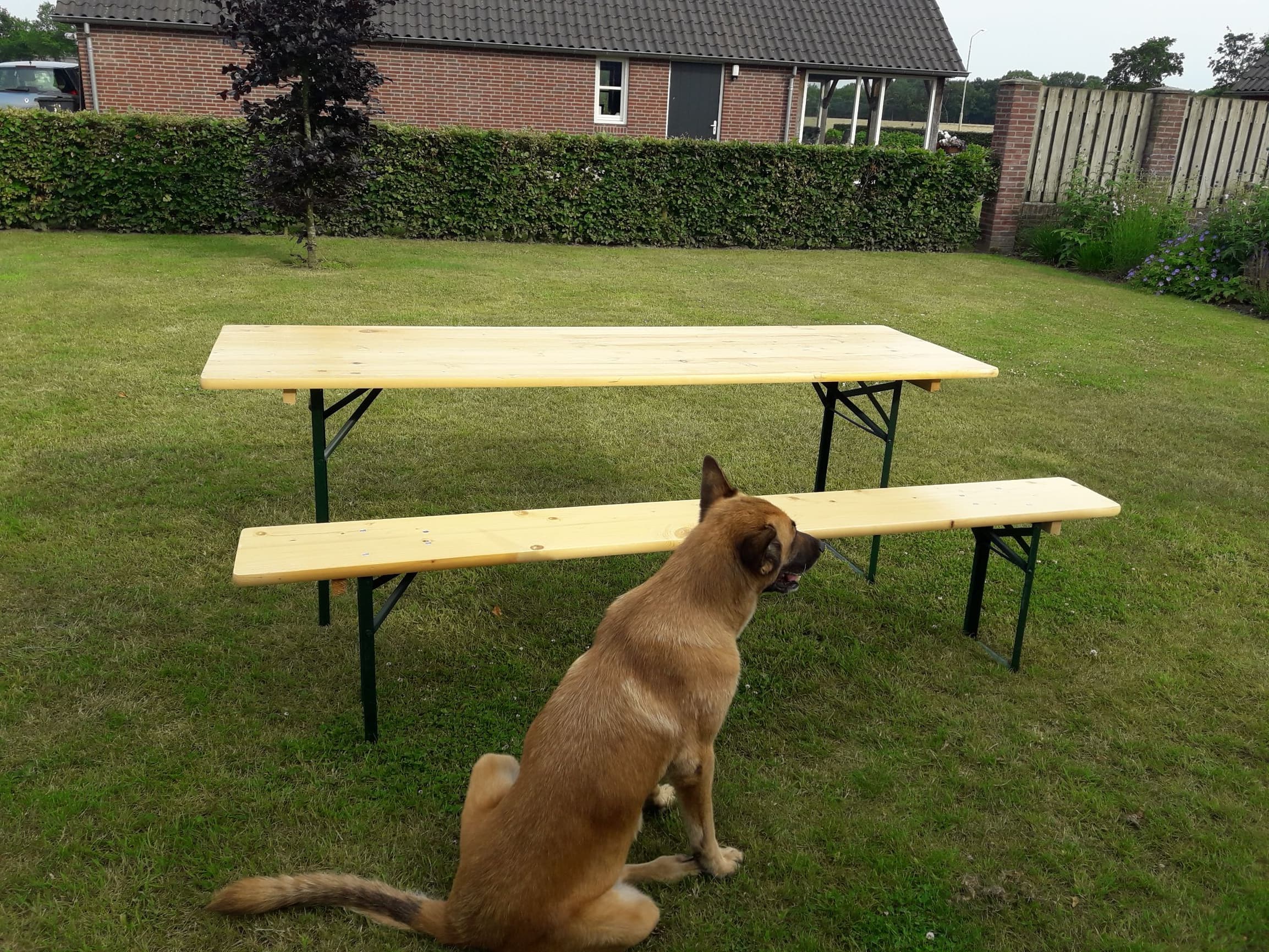 houten bankjes buiten feest