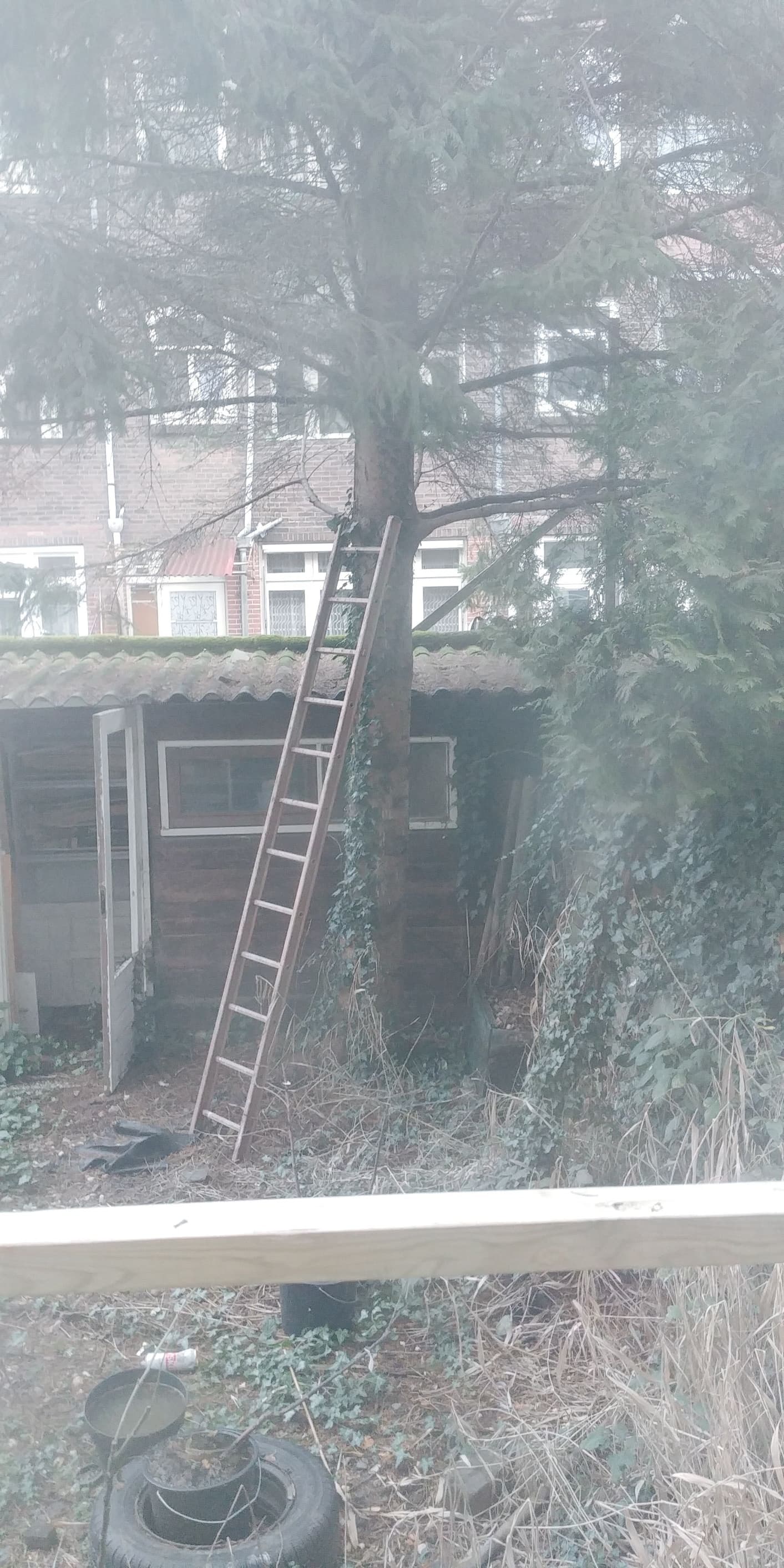 trapladder 3m 