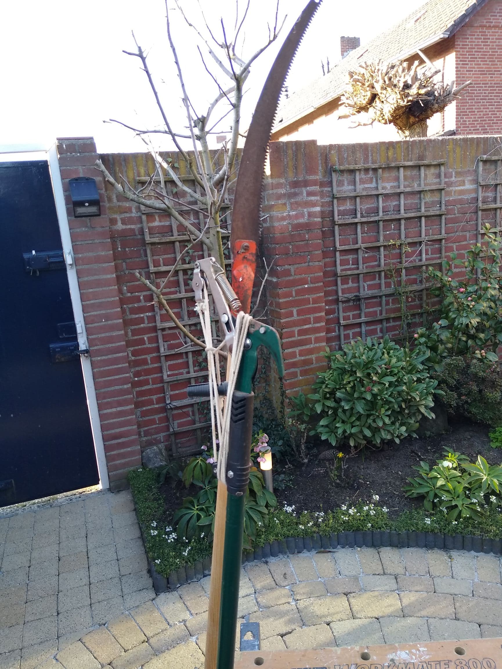 Verlengde zaag en snoeischaar 
