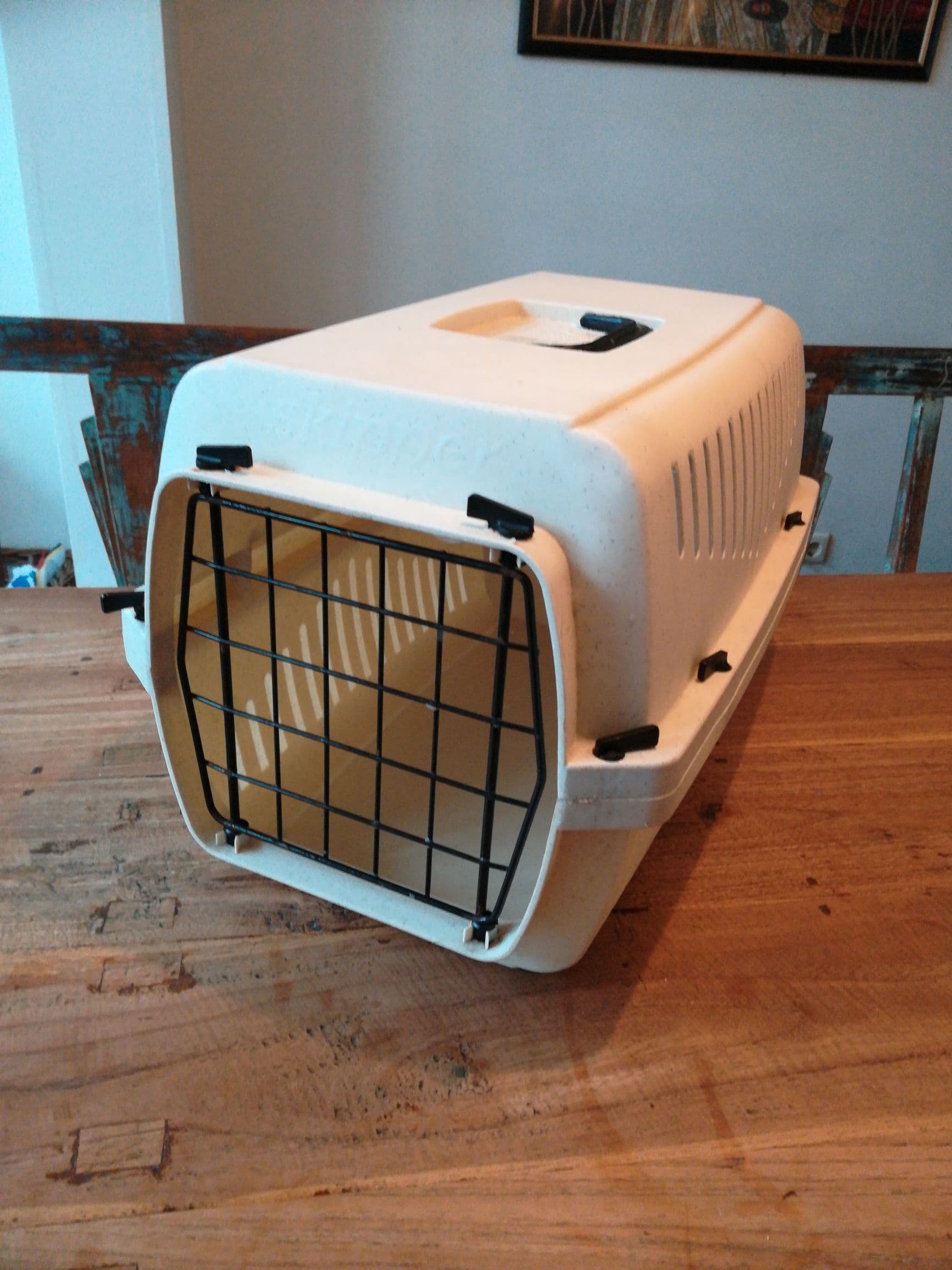 Skipper katten reismand 