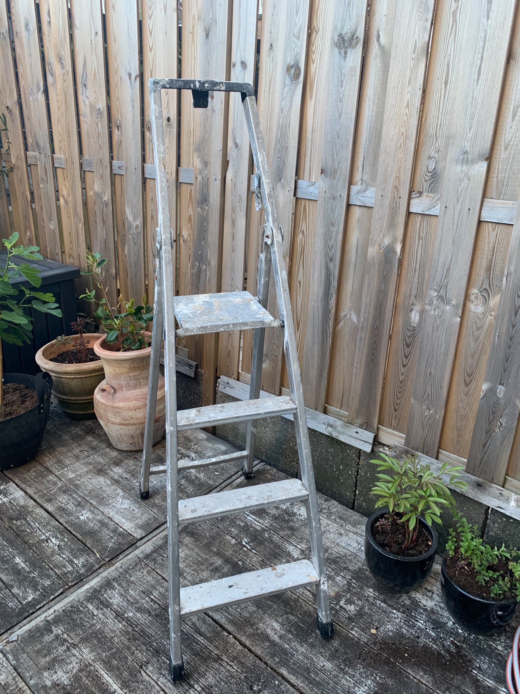 ladder