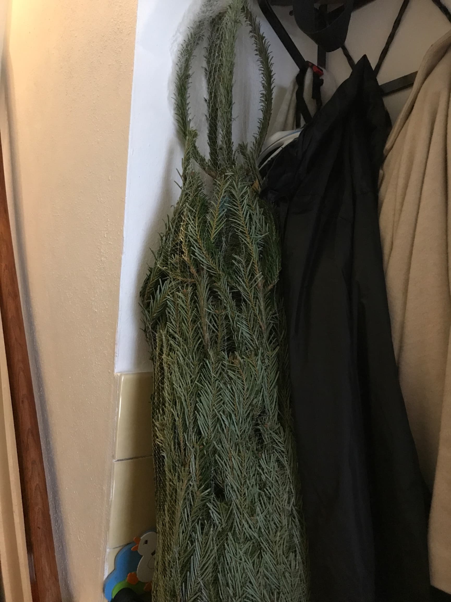 Kerstboom 