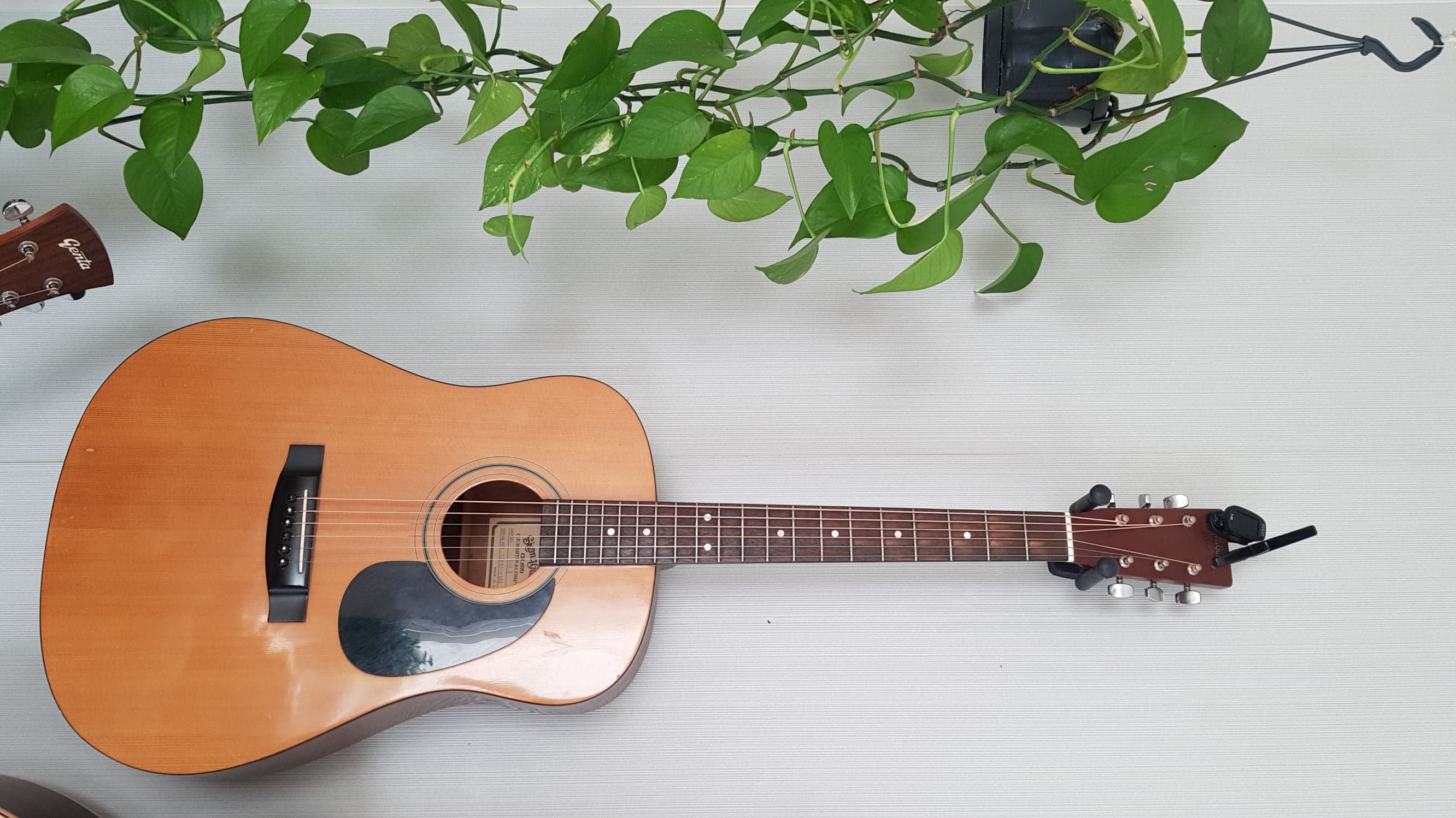 Western gitaar 