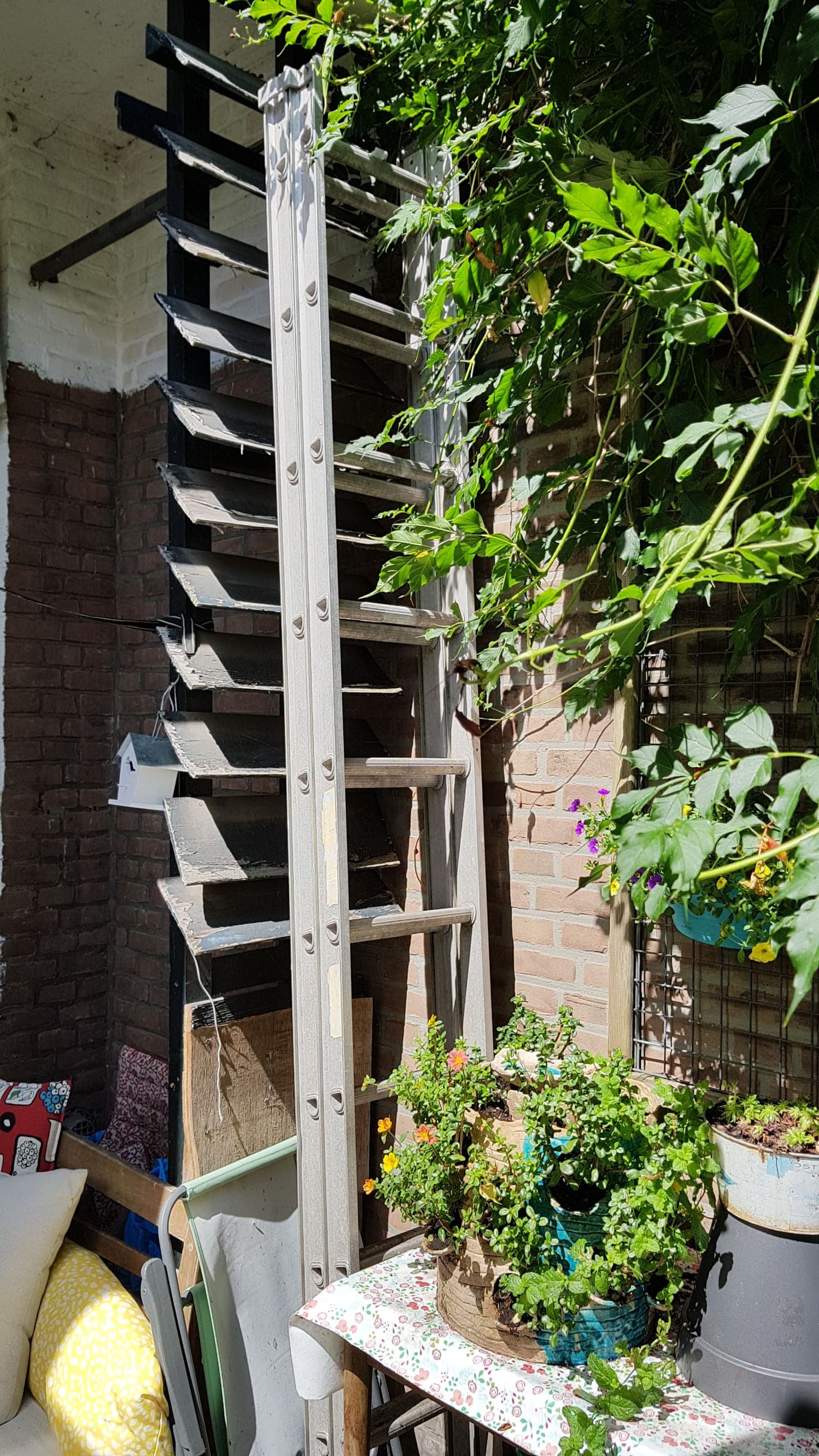 Ladder