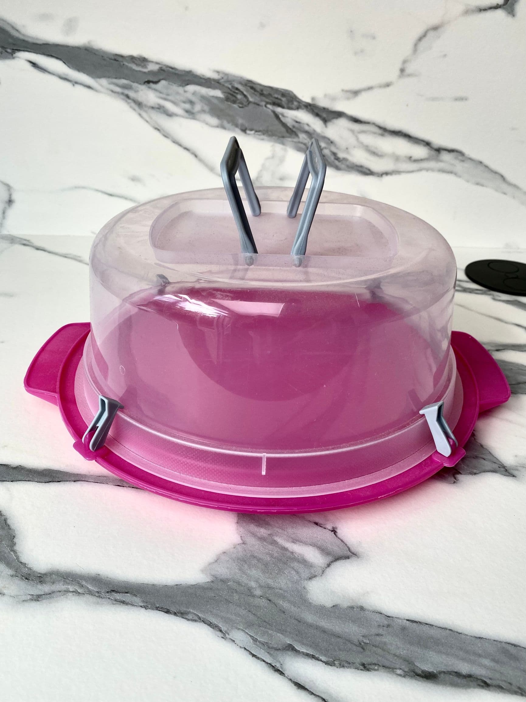 Cake Carrier - Taartdoos - Taartcontainer - Transparant