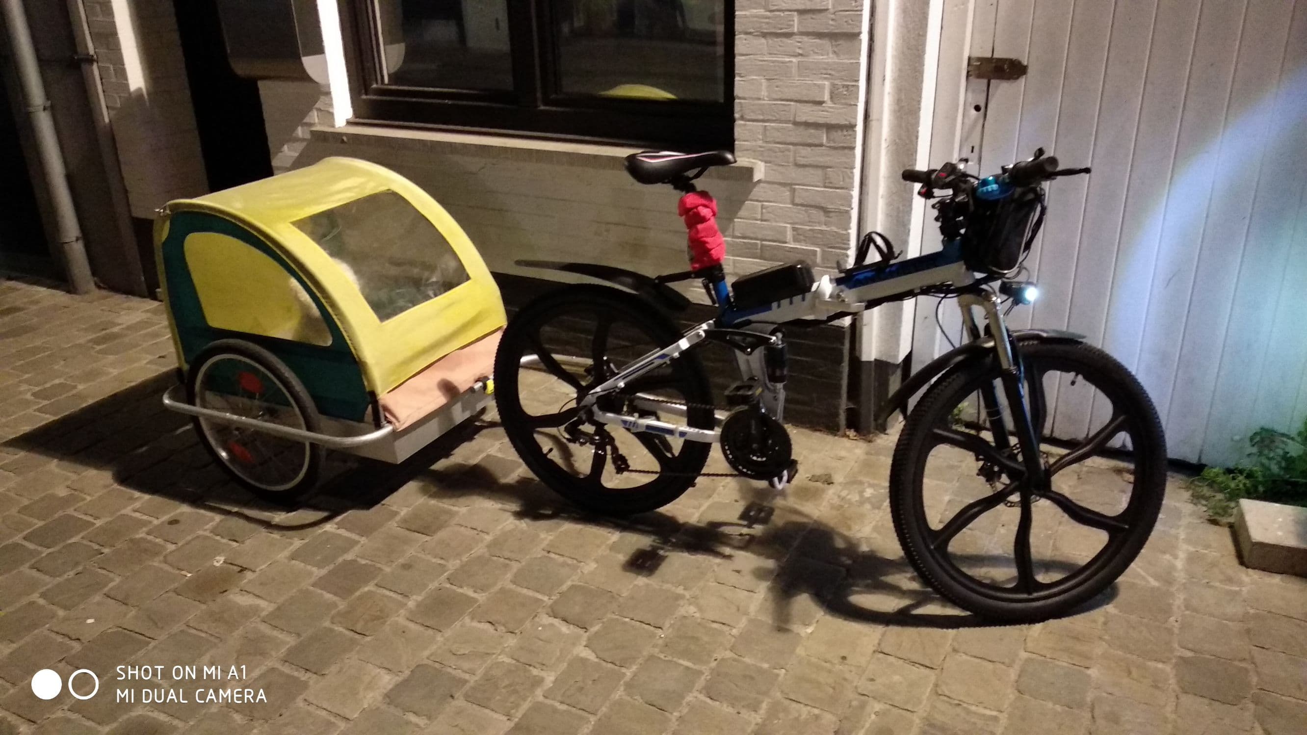 Fietskar voor kinderen of honden