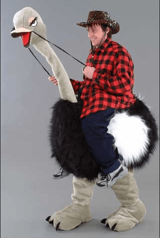 Feestkostuum Struisvogel