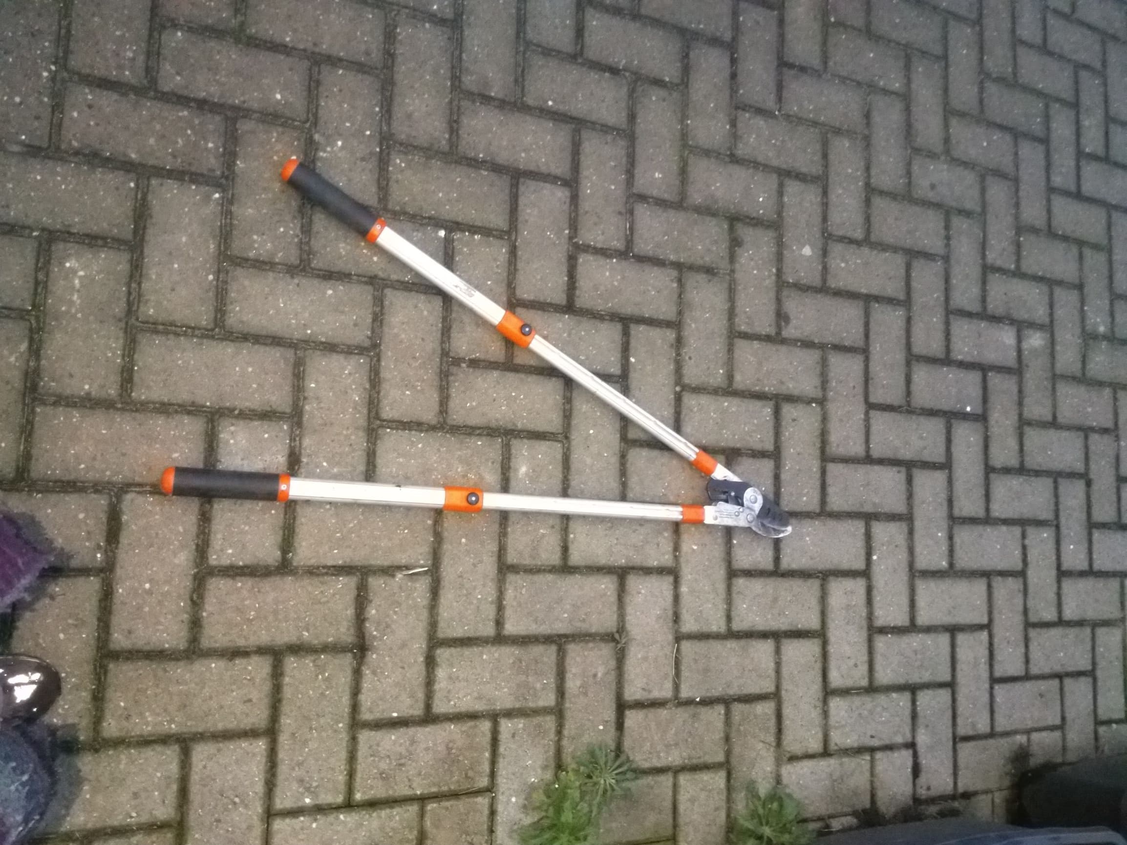 Telescopische snoeischaar