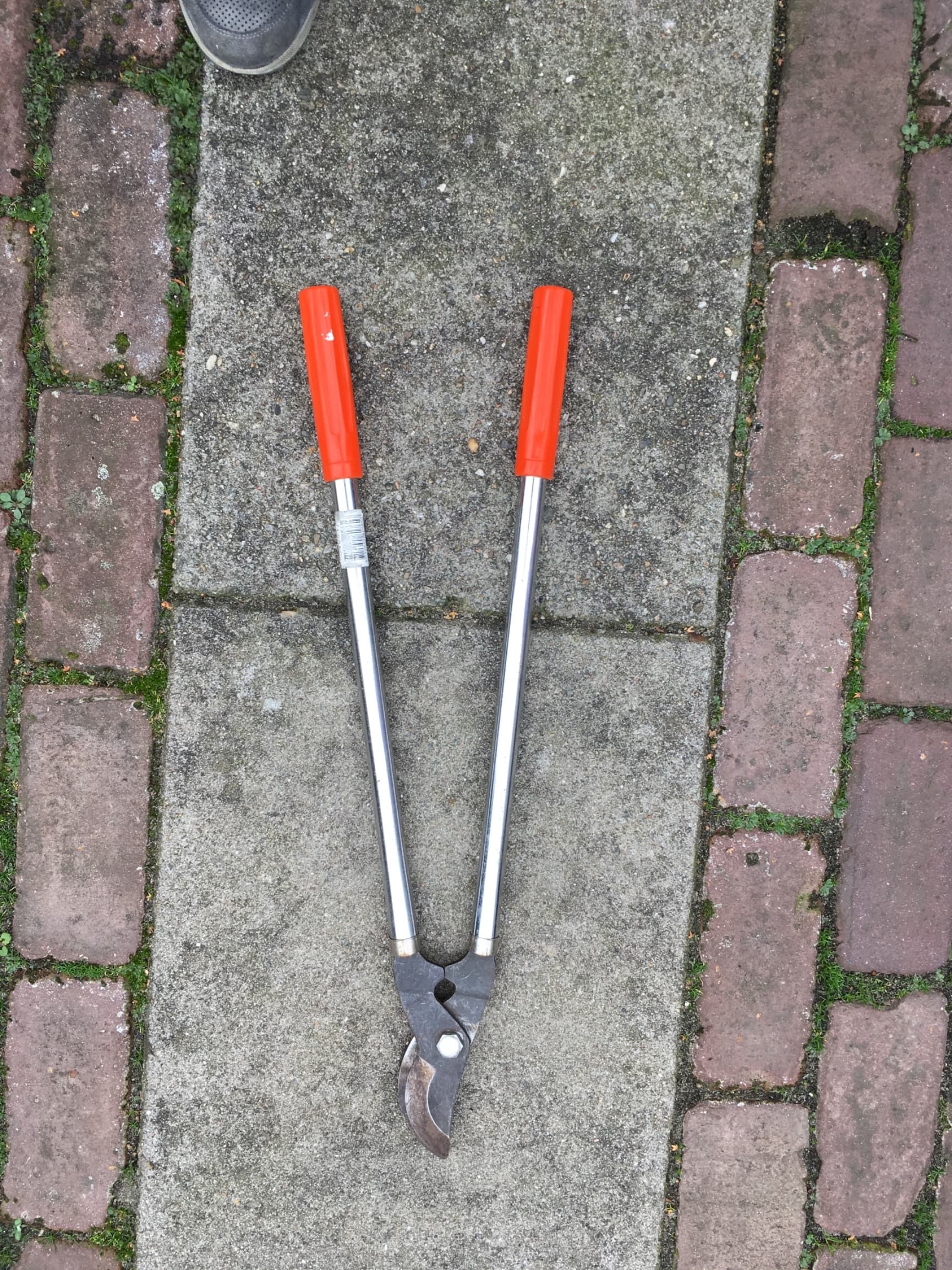 Telescopische heggenschaar
