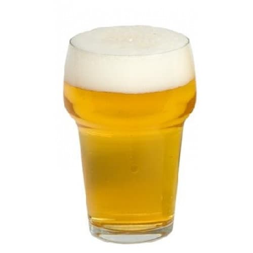 Bierglazen set van 22 stuks