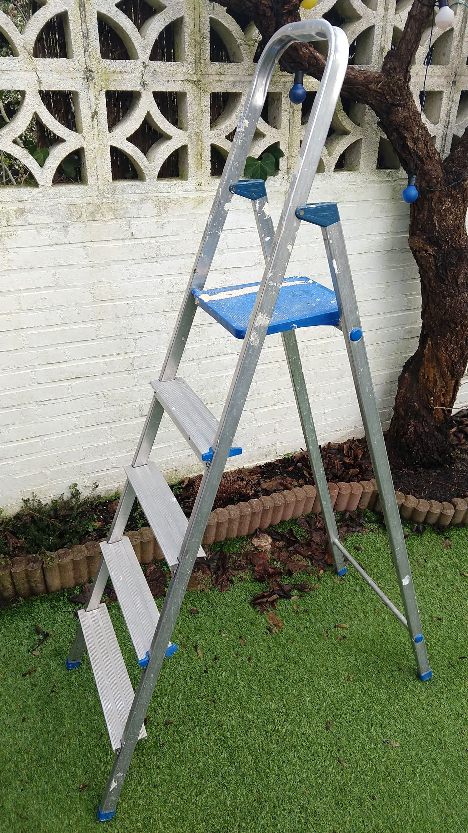 Trapladder