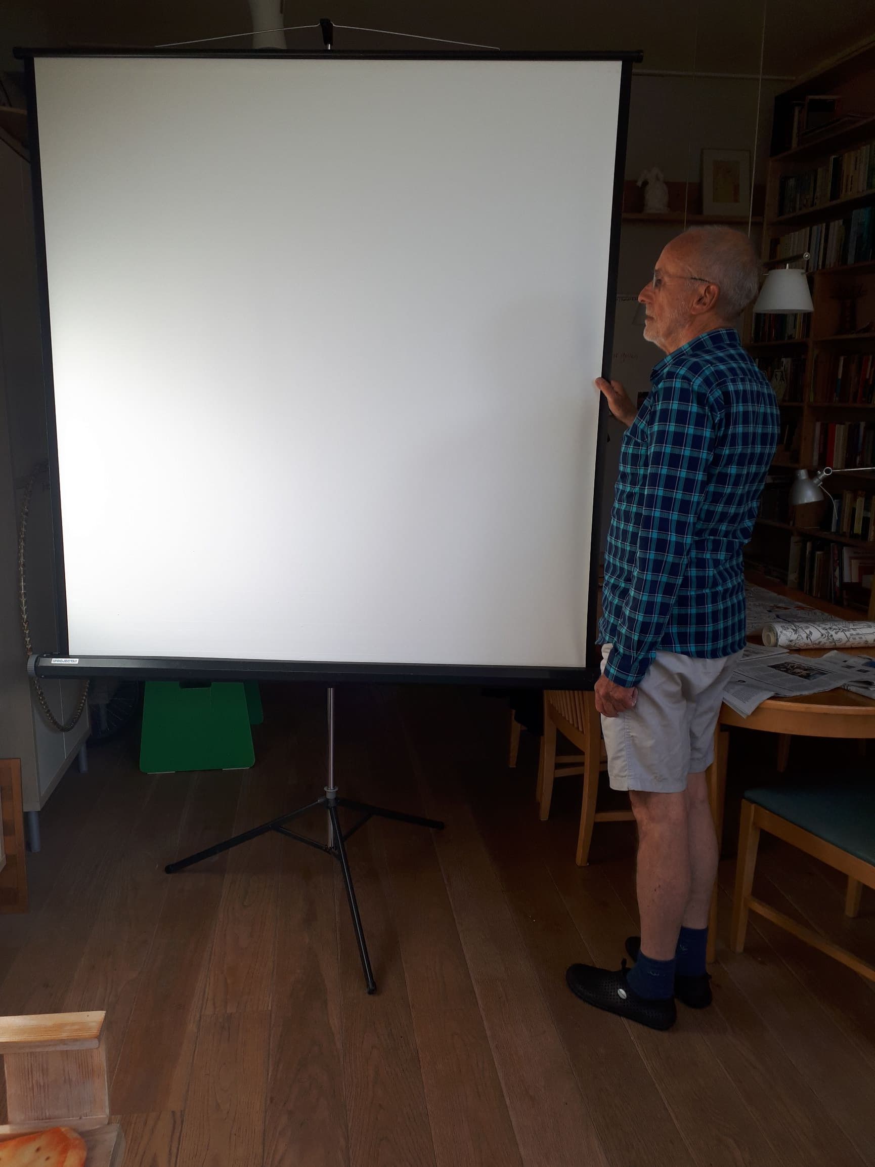projectiescherm