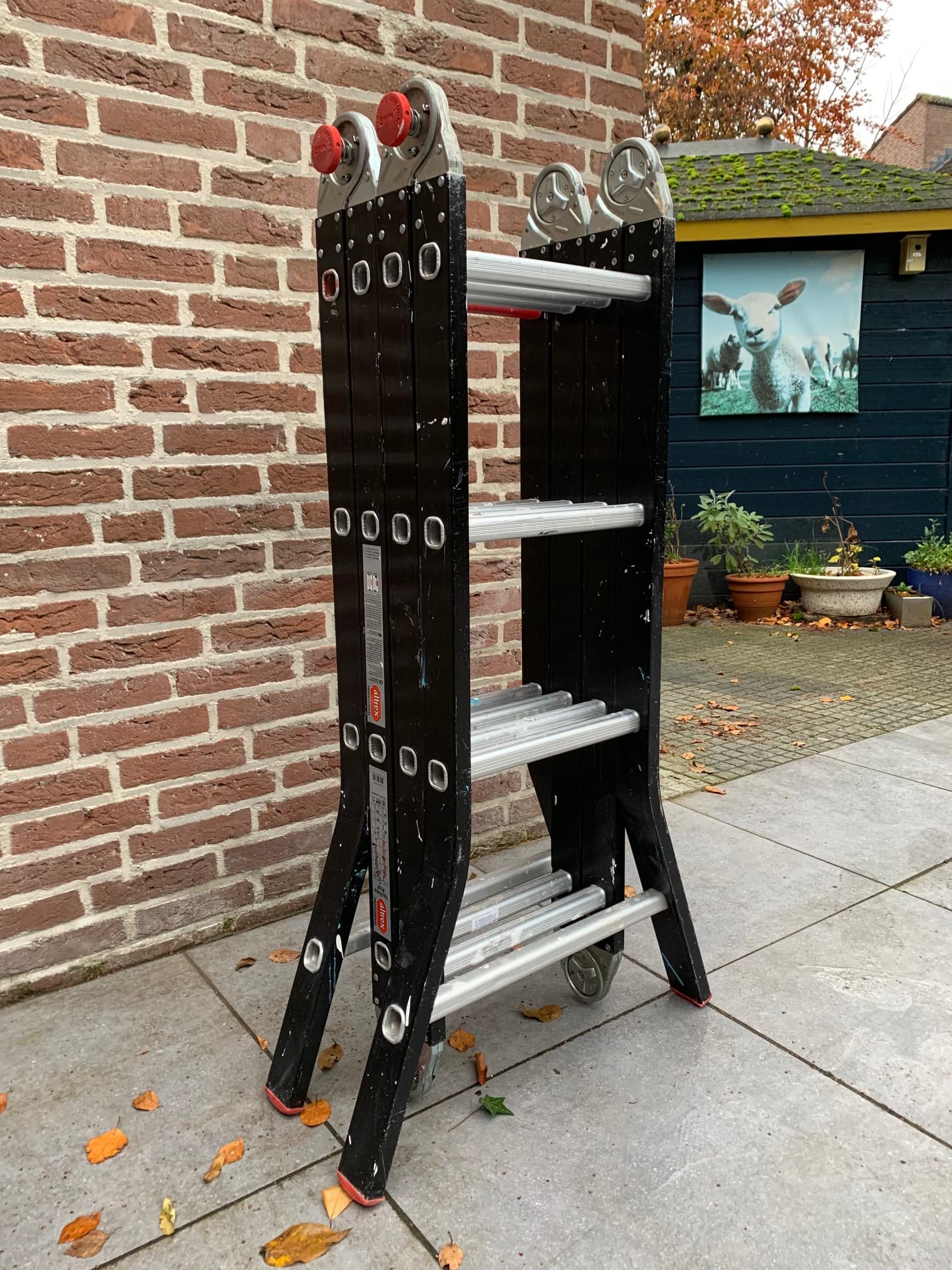Ladder of kamersteiger