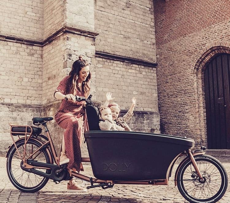 Dolly elektrische bakfiets met 2 kinderzitjes