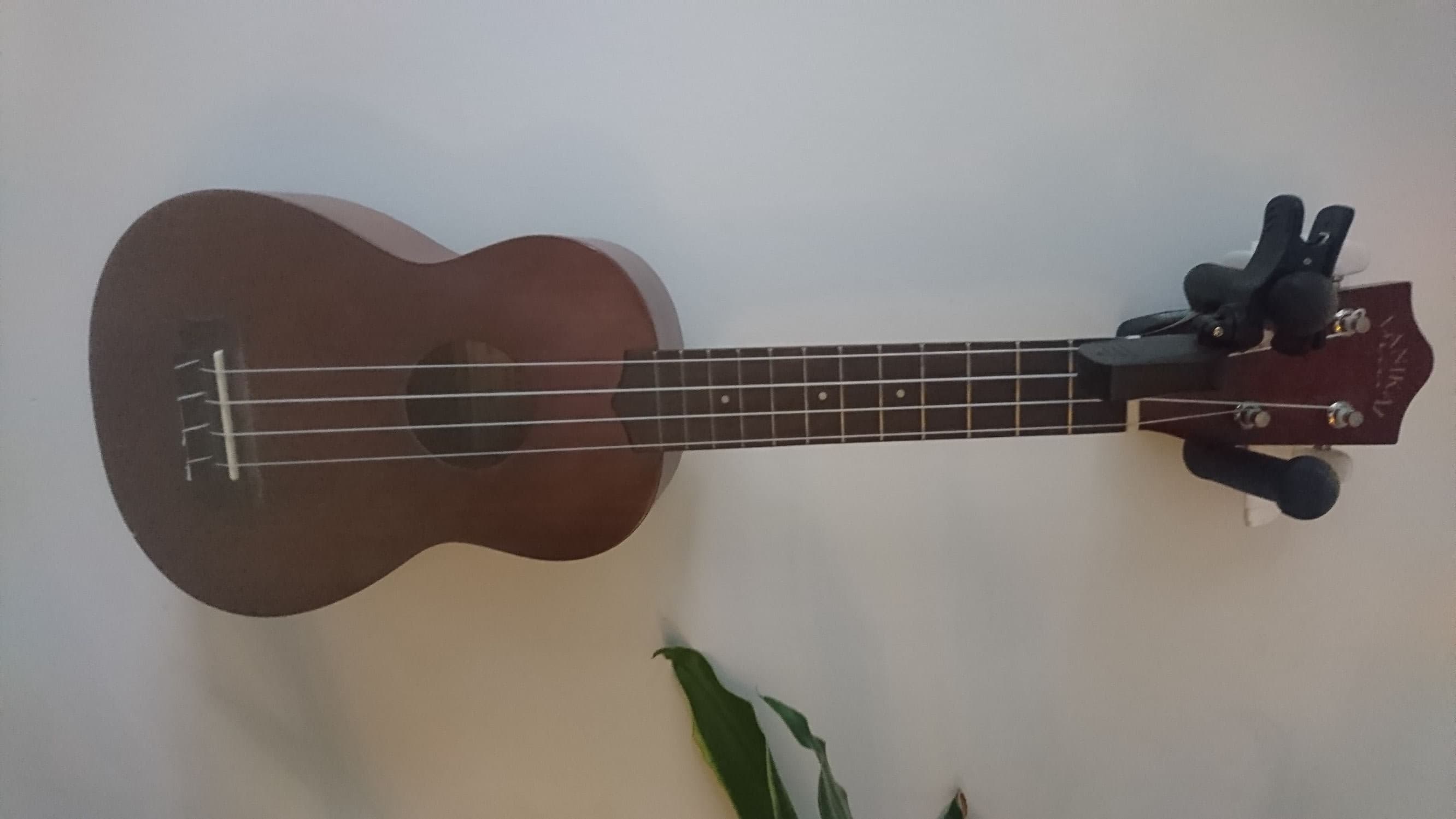Ukulele
