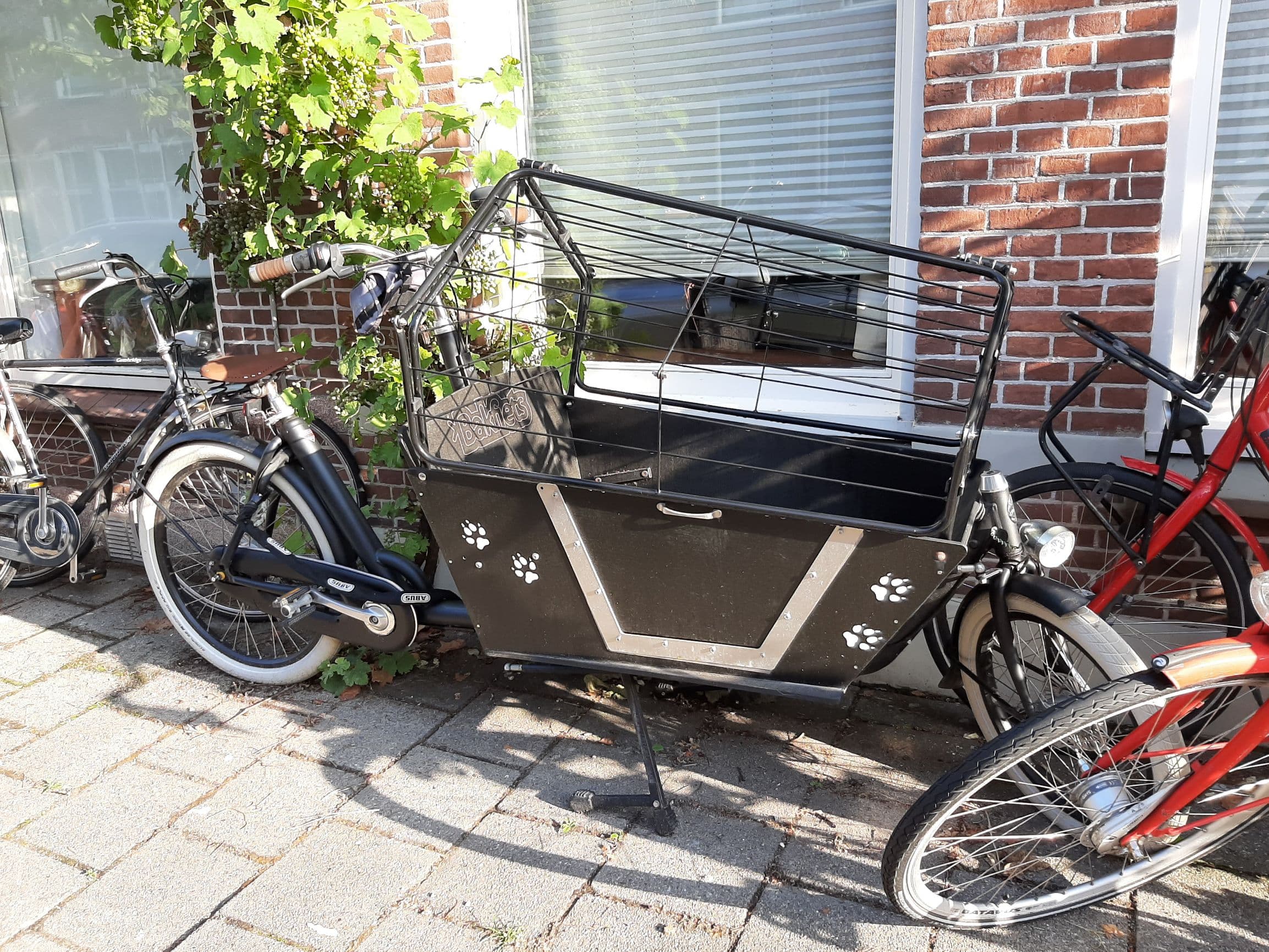 Bakfiets aangepast voor de hond, met 7 versnellingen.  