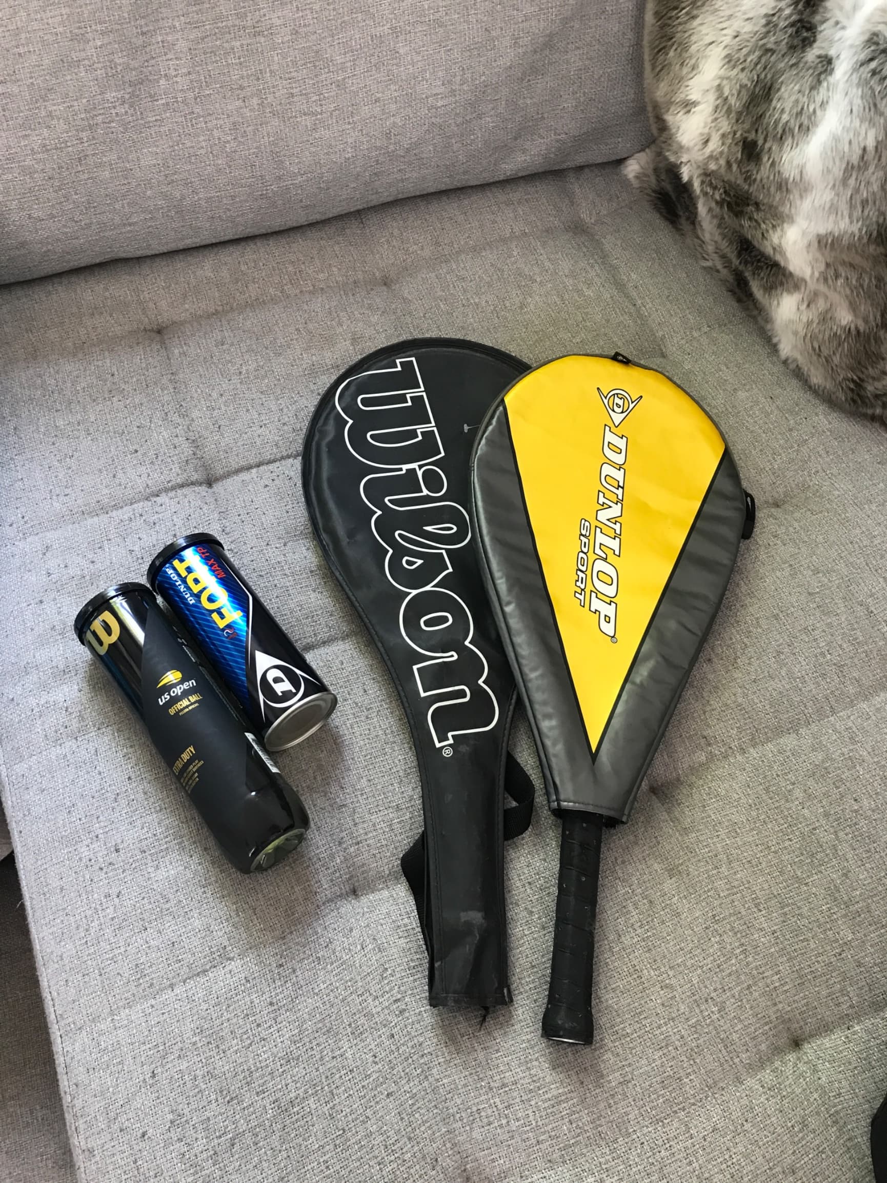 Tennis rackets (2x) w/ tennis balls (5x)