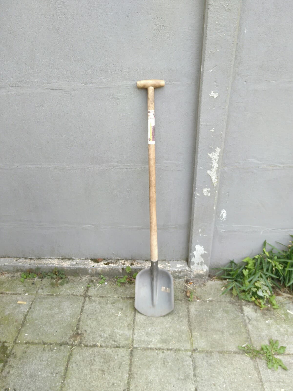 Bats / Spade