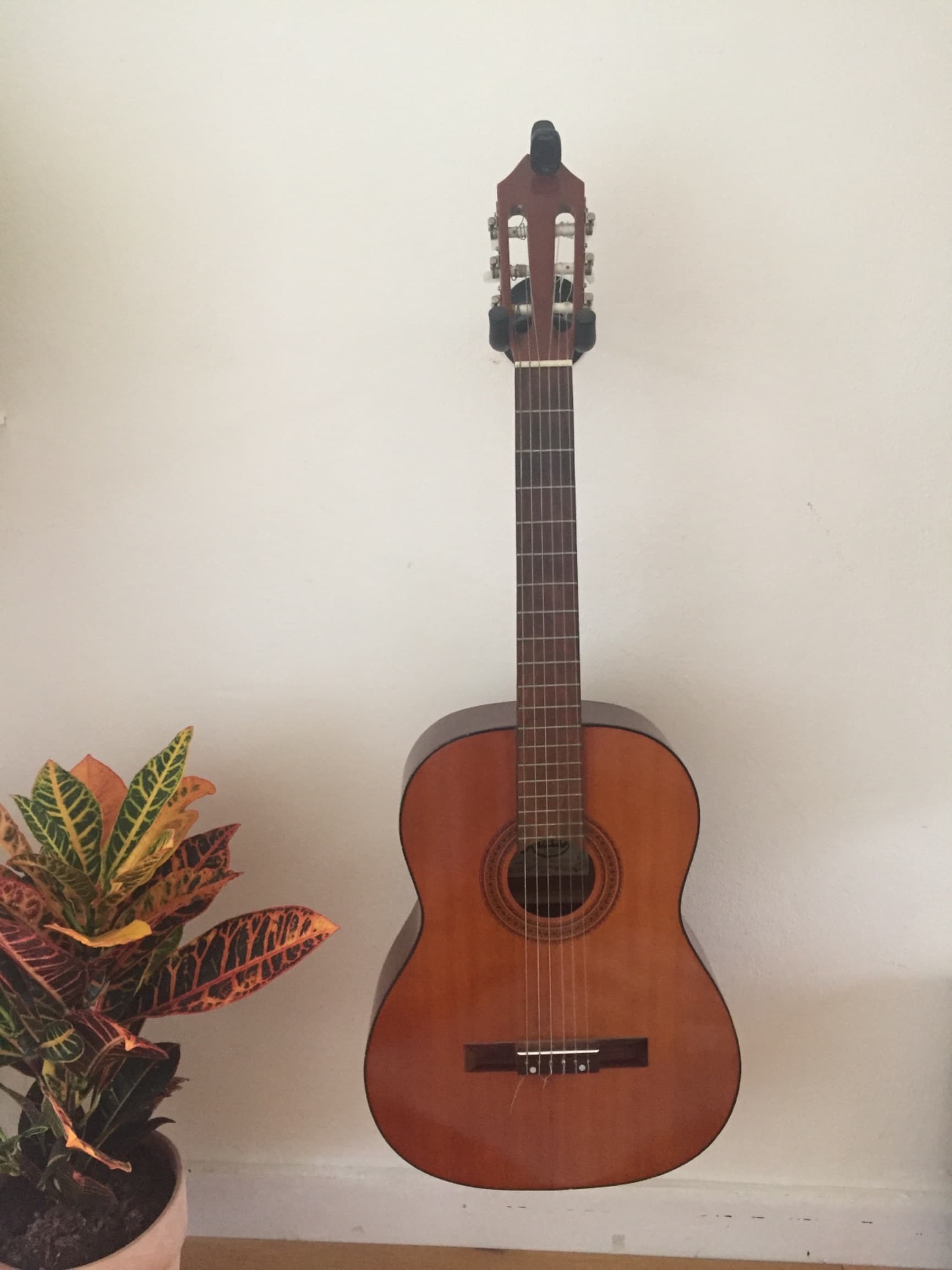 Klassieke gitaar