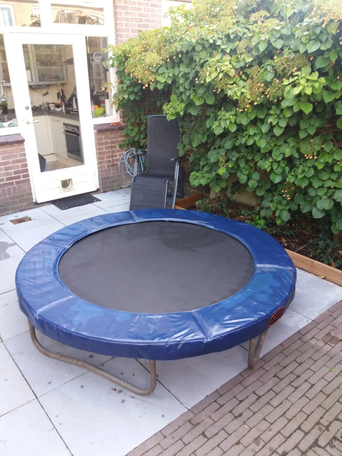 Trampoline