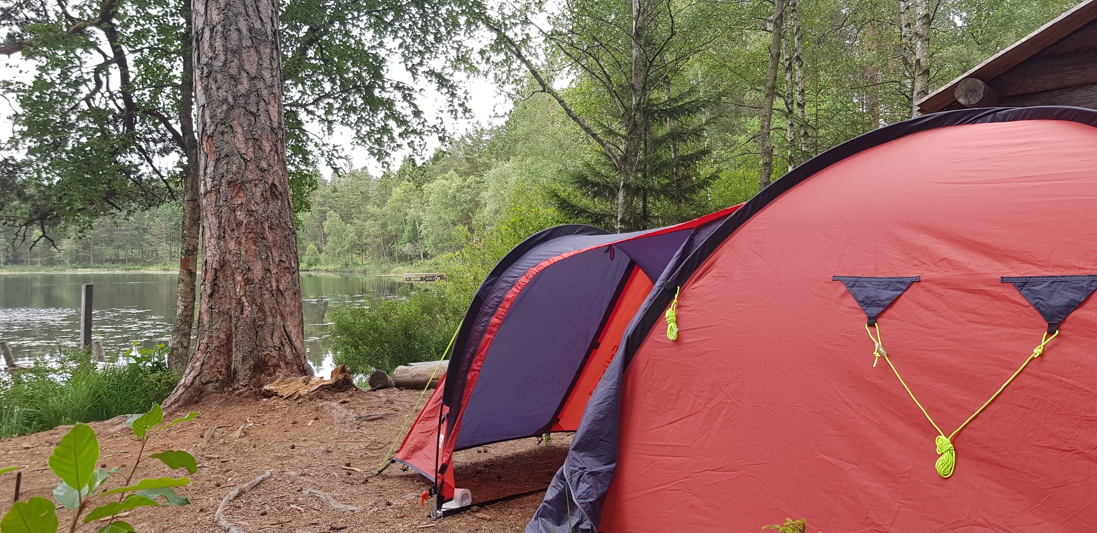 Tent