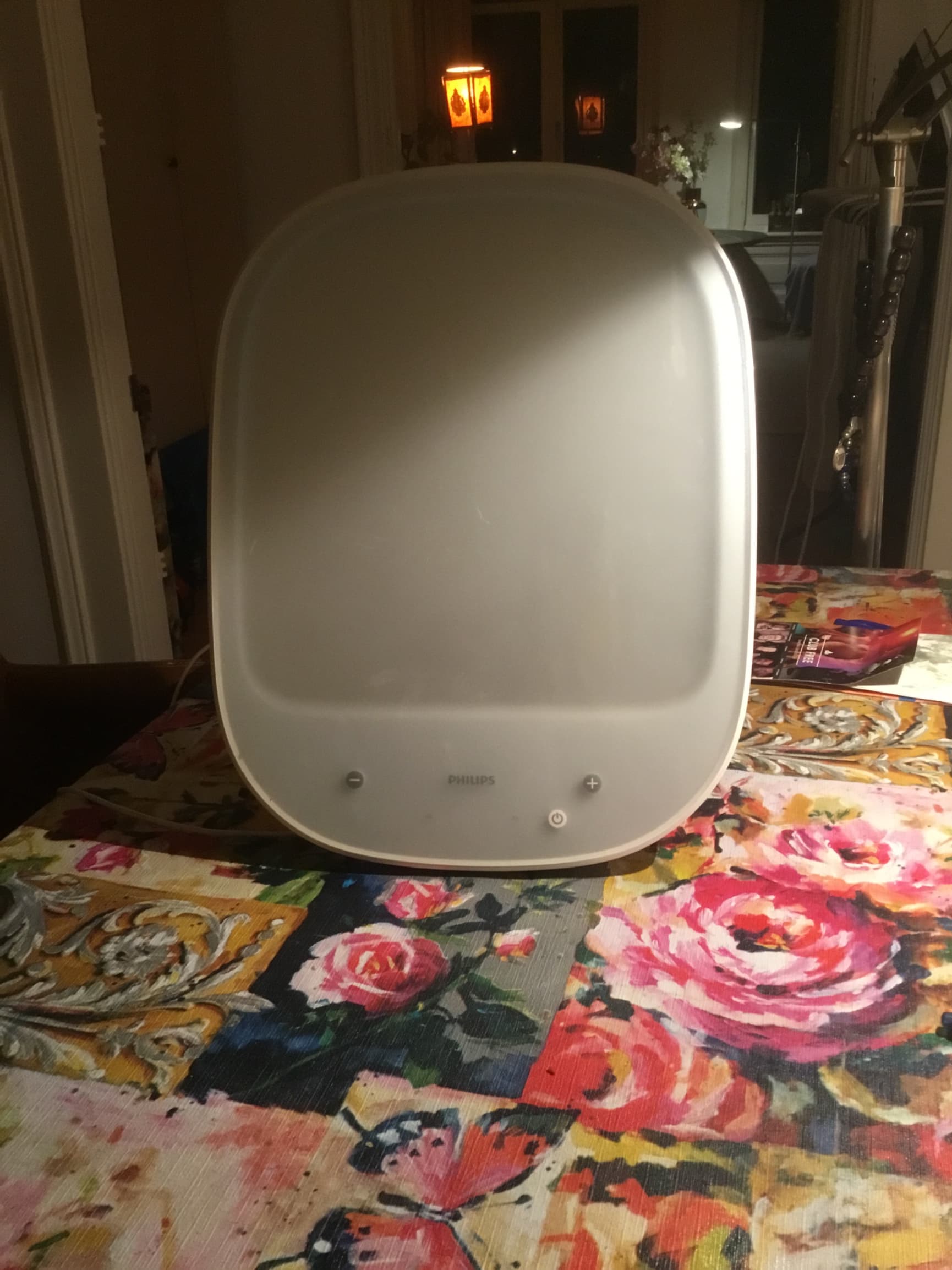 Philips daglicht lamp