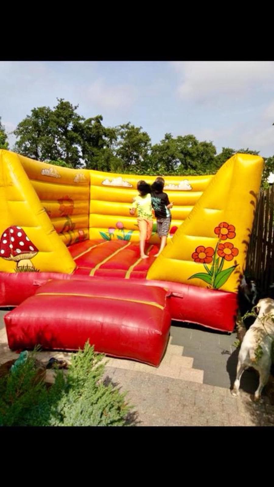 Leuk open springkussen rood of geel 