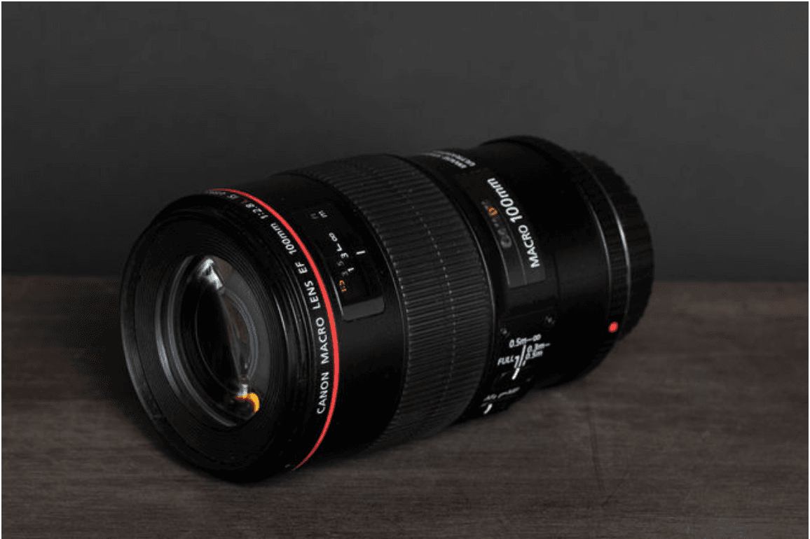 Canon EF 100mm f/2.8 L IS Macro USM Lens