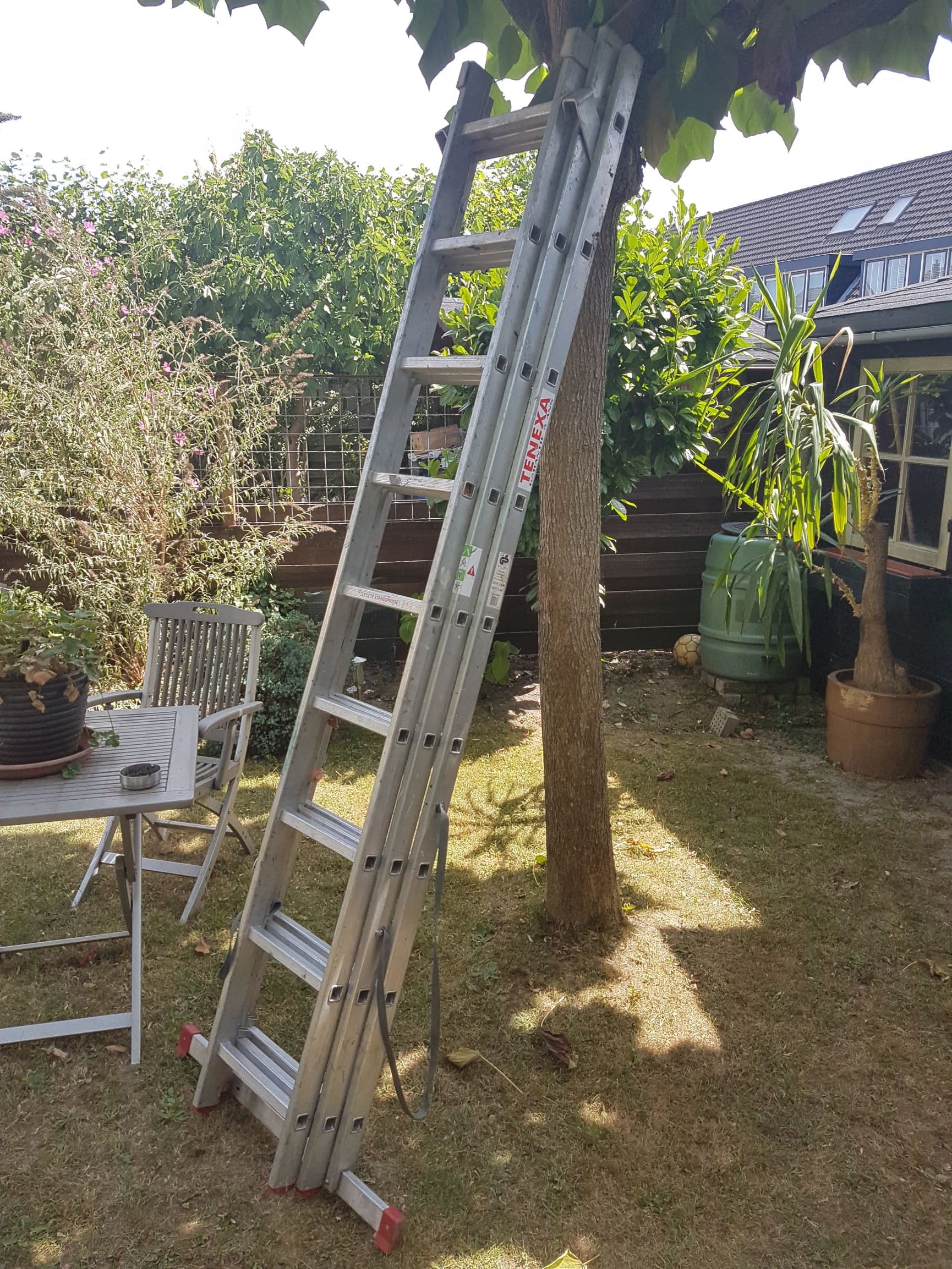 Ladder